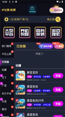 楠王游戏库网页版 截图2