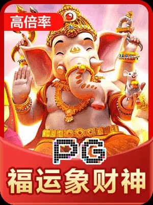 pg福运象财神 截图1