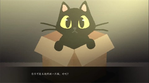 别带这只猫回家手游 截图1