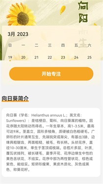 向阳流量app 截图3