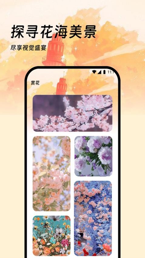 龙辰流量app最新版 截图2