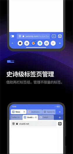 vivaldi浏览器最新版 截图1