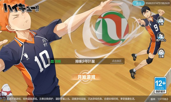 排球少年飞吧乌野高中 截图3