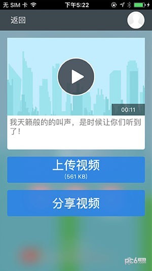 尖叫鸟游戏 截图1