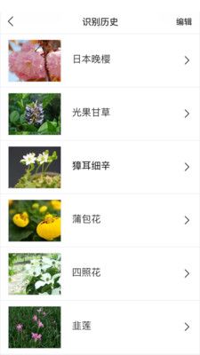 识花君app免费 截图1