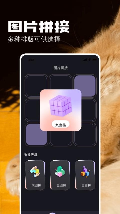 布偶相机正式版app 截图1