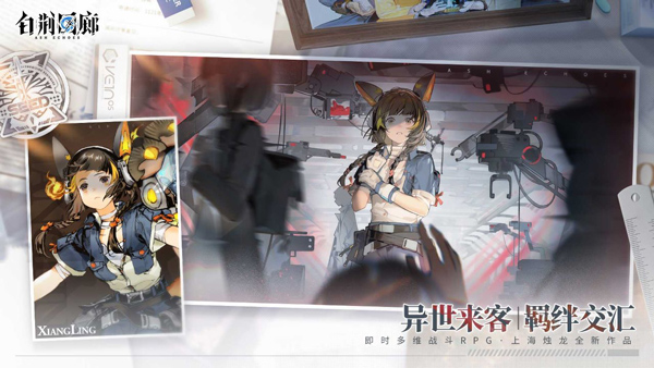 白荆回廊2025最新版 截图2