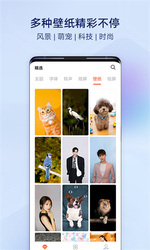 i主题7.3版本 截图5