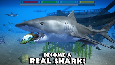 真正的鲨鱼模拟器 截图3