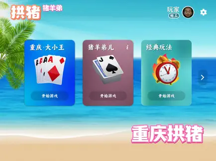 拱猪 截图3