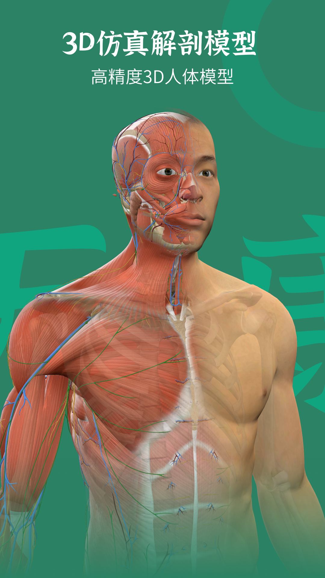 万康人体解剖app 截图5