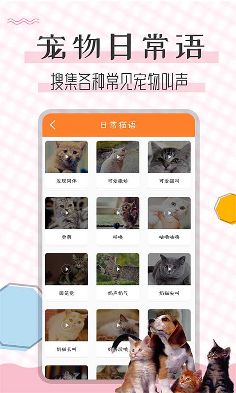 猫语翻译宝 截图4