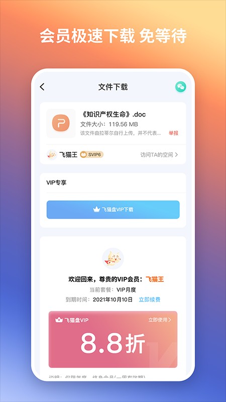 飞猫盘2024app 1