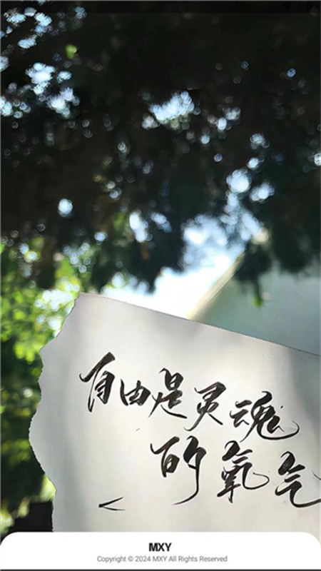 Mxy软件库最新版 截图3