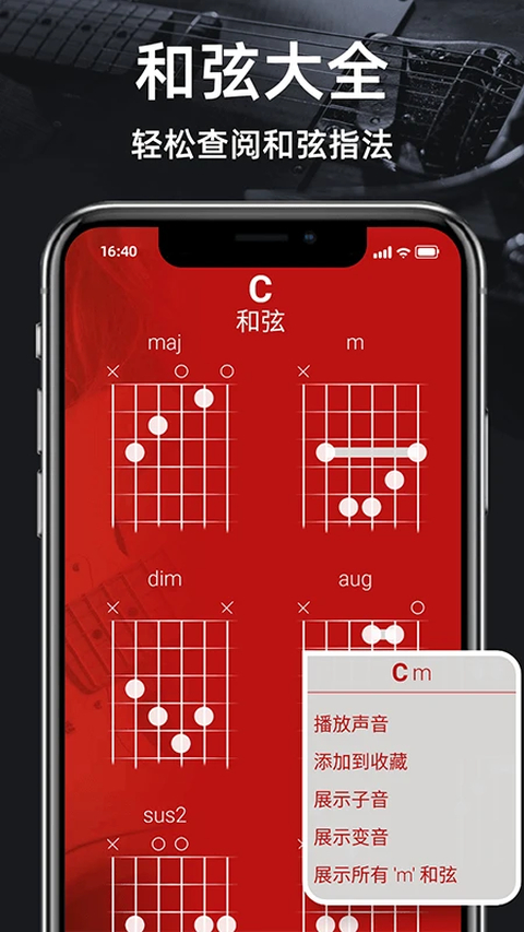 GuitarTuner调音器 截图5