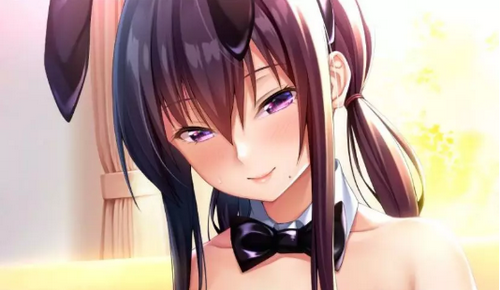 请停手吧姐姐大人完整版 截图2