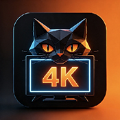 夜猫4K