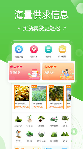 苗木通app 1
