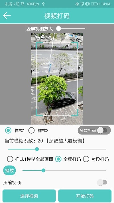 视频马赛克 截图3