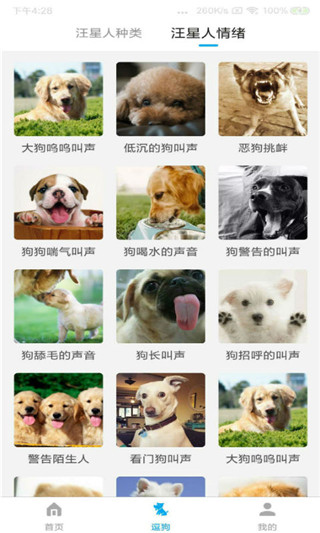 动物翻译器正版免费软件 截图4