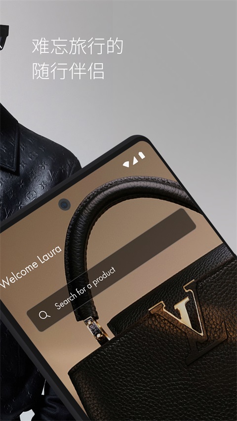 LouisVuitton 截图2