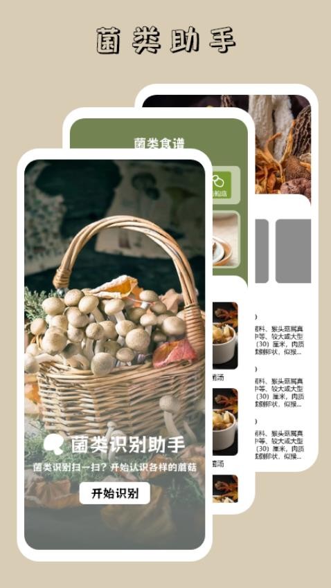 蘑菇识别高手app 截图1