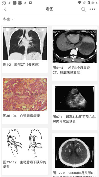 人卫临床助手 截图2