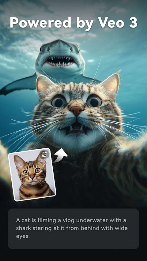 FilmoraGo最新解锁版 截图4