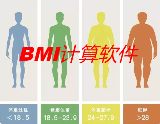 BMI计算软件