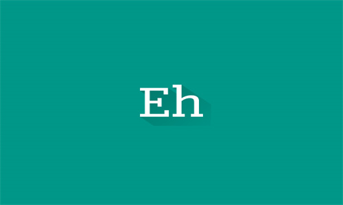 ehviewer下载安装 1