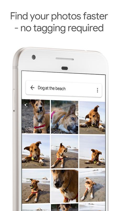 GooglePhotos中文版 截图4