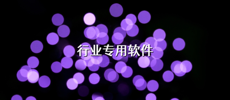 行业专用软件