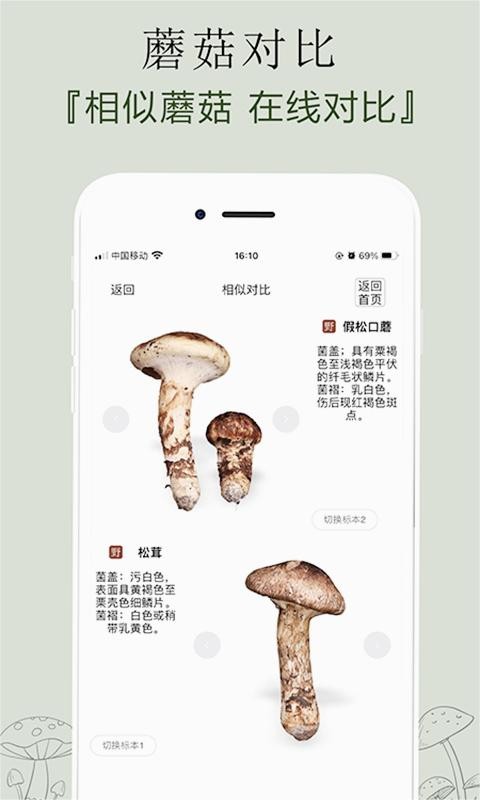 菌窝子 截图2