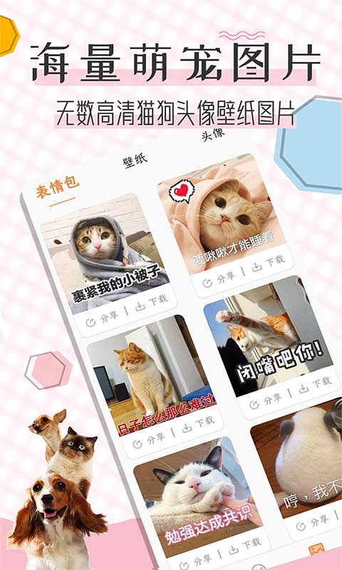 猫语翻译宝 截图3