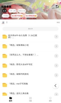 倾城软件库官方最新版 截图1