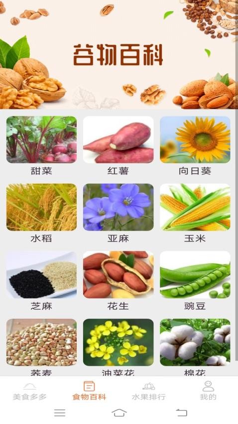 美食多点点 截图1