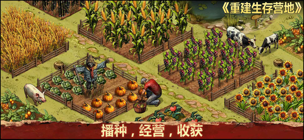 重建生存营地 截图5