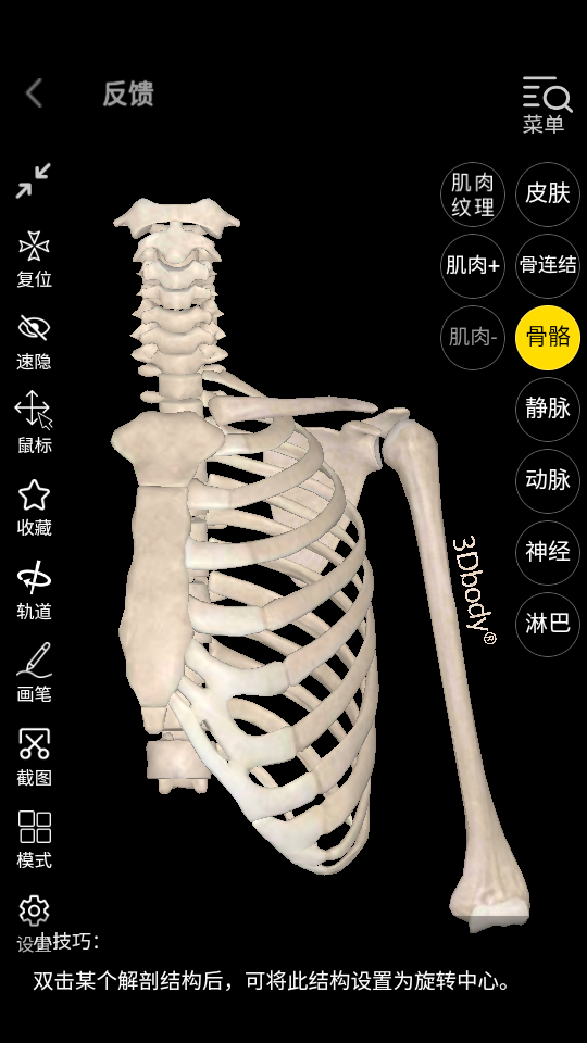 3dbody解剖学习app 截图5