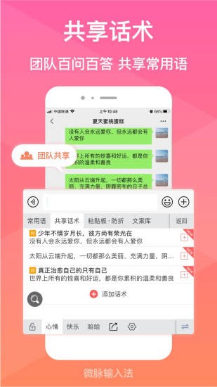 微脉输入法 截图3