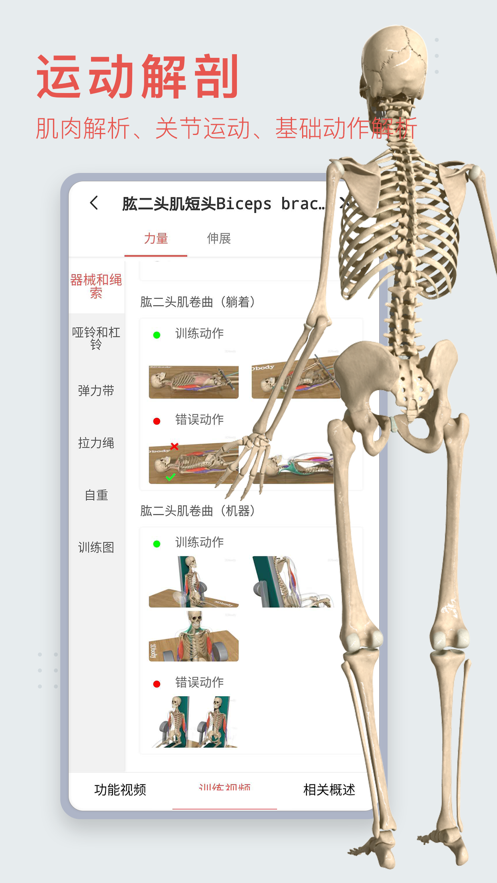 3dbody解剖学习app 1