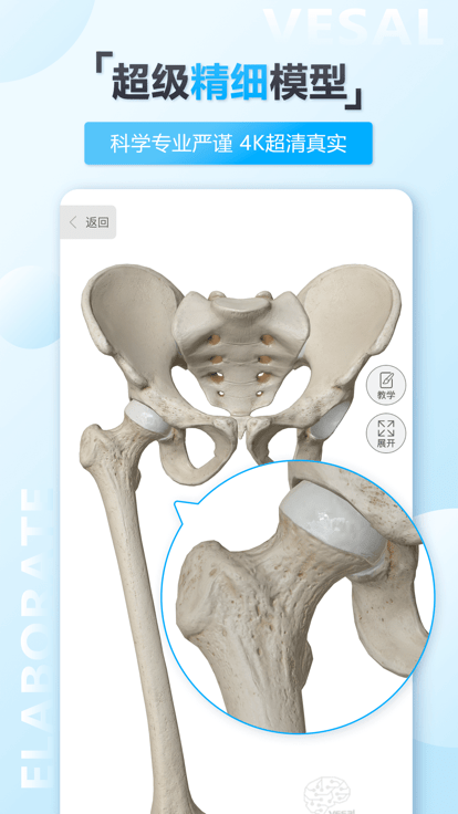 维萨里3d解剖 截图2