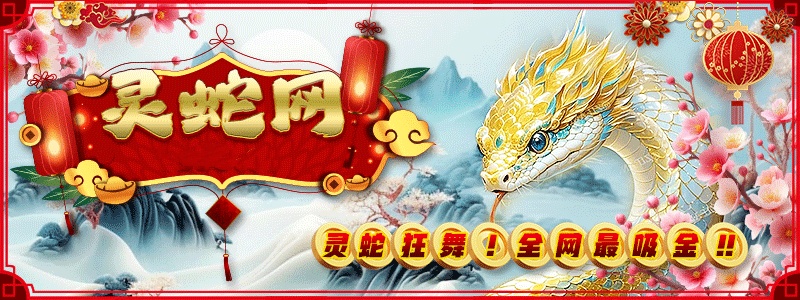 灵蛇网 截图1