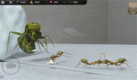蚂蚁模拟大亨最新版 截图1