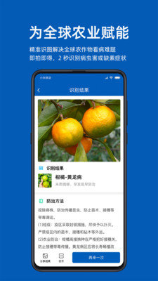 识农v1.0.0 截图1