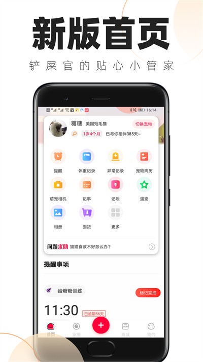 铲屎官日常 截图4
