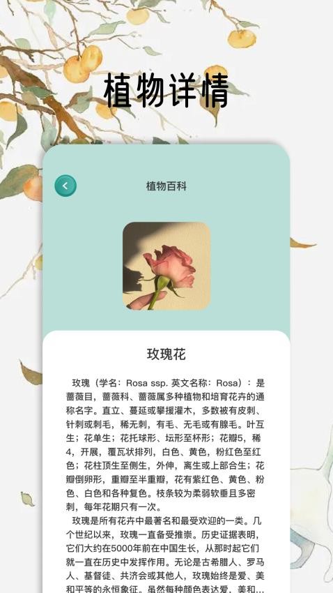 花草秒识别app 截图3