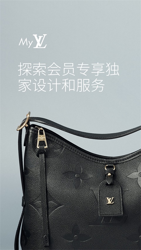 LouisVuitton 截图5