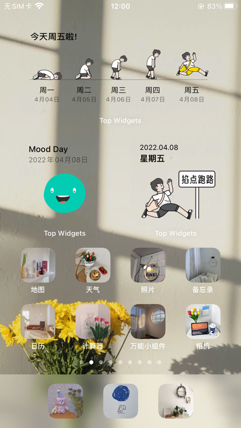 Top Widgets+ 截图2