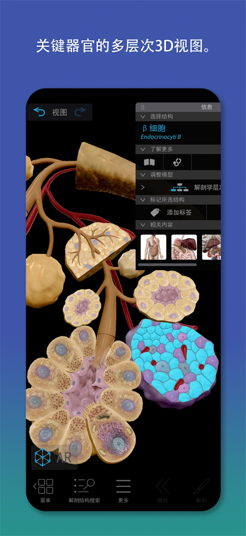 atlas人体解剖软件安卓 截图2