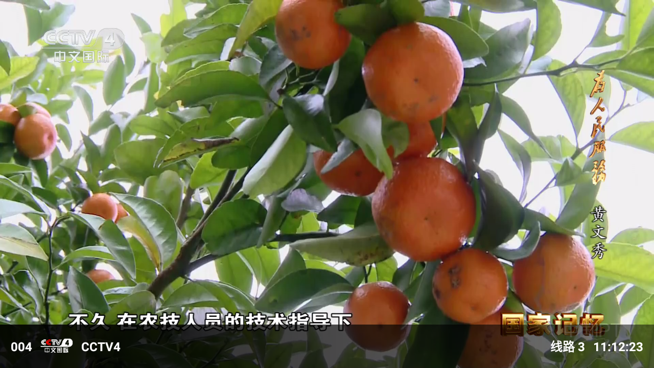 livetv安卓版 截图5